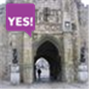 yessouthampton's profile picture. 