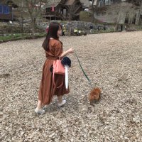 コタペロ(`･ω･´Ｕ )ノ゛ (@mimi_z_u_q_rab) Twitter profile photo