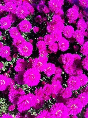 Dj14434114's profile picture. 