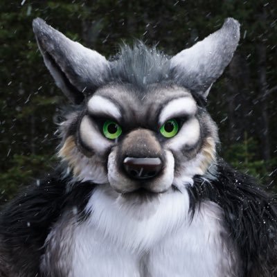 CoraxWerewolf Profile Picture