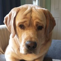 bob spargal (@sparg45bob) 's Twitter Profile Photo bob spargal (@sparg45bob) 's Twitter Profile Photo