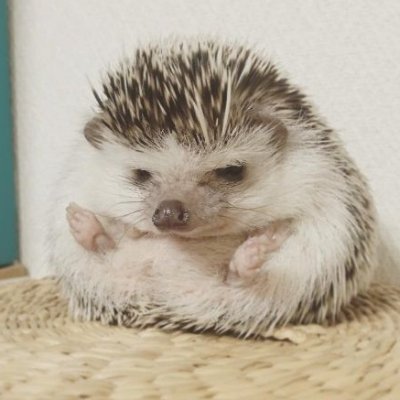 skydalt0n's profile picture. キャラクター中心でCGの嘘絵を作るしごと。 ディレクション時々TA、Maya慣れない。houdini・Blenderと仲良くしたい