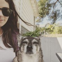 Allie D. Pottenger (@allied) 's Twitter Profile
