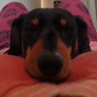 BH (@bentidh) 's Twitter Profile