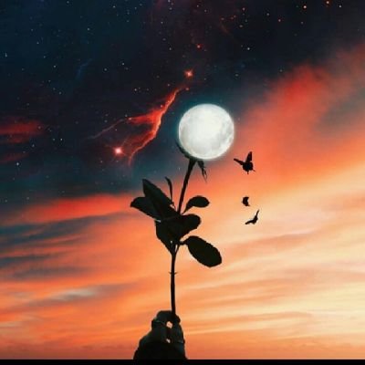 خدو بنت الشيخ طه On Twitter مو زيك لاننا جالسين نكذب على الناس عشان ننشهر ونكسب من وراهم لا احنا نحب نشتغل ونجتهد وكل ريال يكون من اجتهادنا بالحلال مو غش وكذب