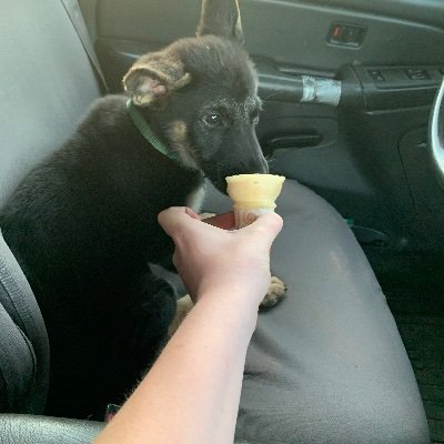 dab_cat900's profile picture. you found me