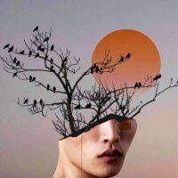 Pr0ject Climate Art(@morphing) 's Twitter Profile Photo