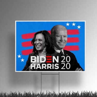 Thanking every Resister for paving a path to the White House for Joe and Kamala! Thank you for Voting Blue! #FBR