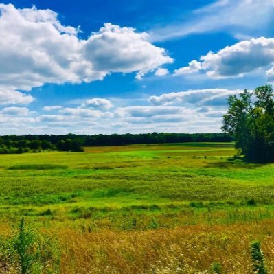 The Ouiatenon Preserve-a Roy Whistler Foundation Project, is a 230 acre archaeological and nature preserve located along the Wabash River in Tippecanoe Co. IN