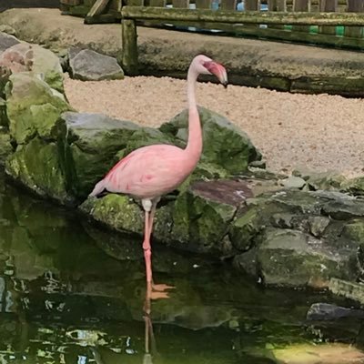 今世の中変だなと思いつつ色々な情報を集めています。