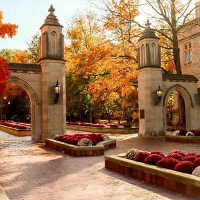 ryansmom915's profile picture. 