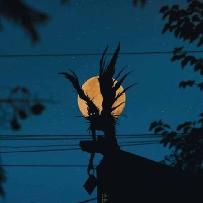 sckmydck17's profile picture. 