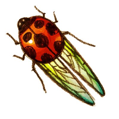 🐞さんのプロフィール画像