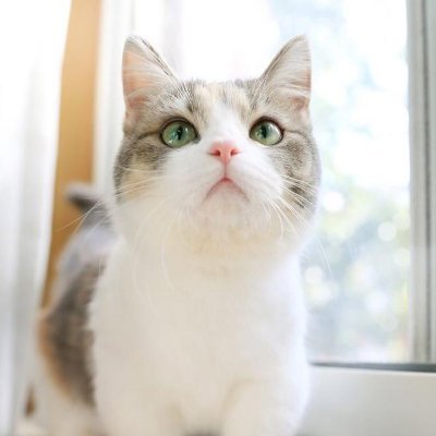 Alina66094's profile picture. 