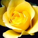 Mandie Taylor - @irishprncss19 - Twitter