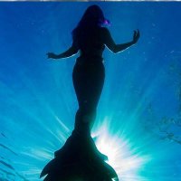 The Livid Mermaid(@LovelyMermaid10) 's Twitter Profileg