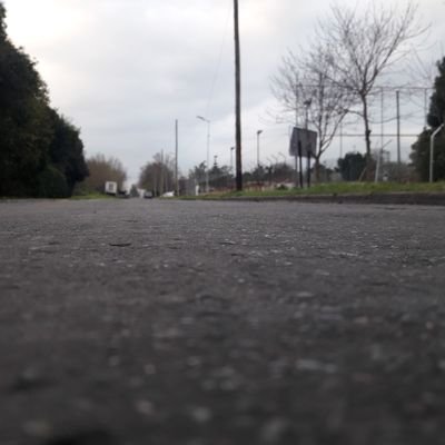 carlos_13476's profile picture. 22 años