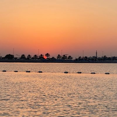 dsternick's profile picture. 