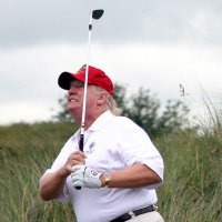 Not Another Donald Trump Parody(@PenceConscience) 's Twitter Profile Photo