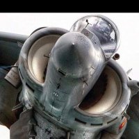 Srdar12345678 (@srdar123456781) 's Twitter Profile
