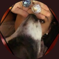 Den_🇮🇹🍀🐾 (@ddeny_278) 's Twitter Profile Photo