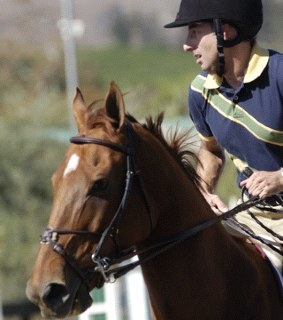 MarkAllenGreen's profile picture. 