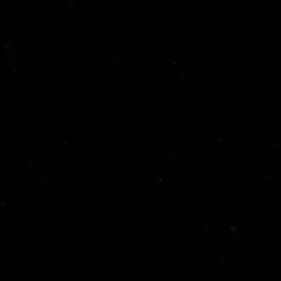 TheKintsugi's profile picture. 👀