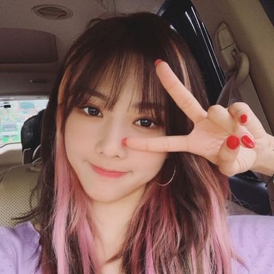 Yoo's 🌳🐢さんのプロフィール画像