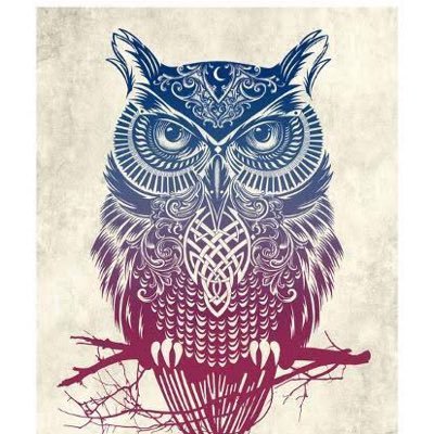 Owl🦉