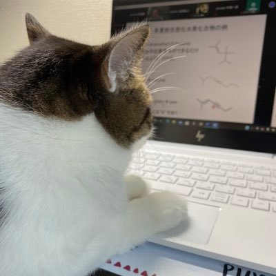 Haru_dajtrtn459's profile picture. Taki 3-I→ncu🌼