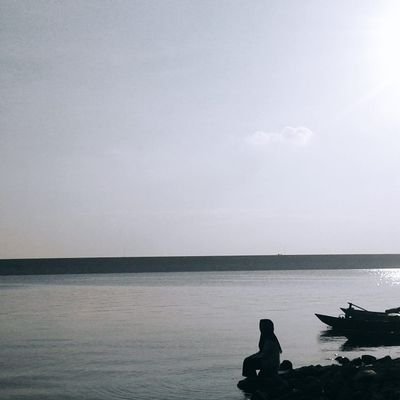 venadf's profile picture. setengah salmon