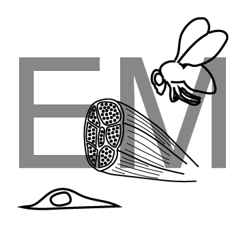 Twitter for Slack Workspace EMofCellsTissuesOrganisms, discussing all things electron microscopy of cells, tissue, and organisms. Account run by @mattrgr