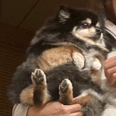 まつりさんのプロフィール画像