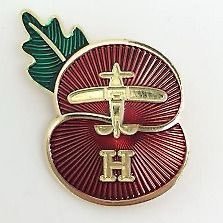 elf n safety professional, interested in crowd,event and sports spectator safety. X RN, Biker, rock, metal and villa fan