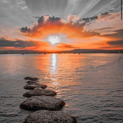 TebogoMotshumi's profile picture. 