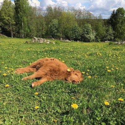 dmcarmen99's profile picture. 