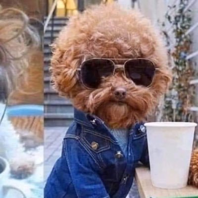 SortItOutt's profile picture. A Conservative Liberal Lover ❤️💙❤️