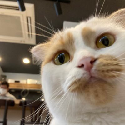 mmolocy's profile picture. 穏やかな人生を過ごしたい今日この頃。商学部卒の電気設備の図面描き。コントラバスも弾きます(お休み中)。2020.4入籍2021.2に福岡から沖縄へ。2022.2.5女の子を出産2022.3原発性アルドステロン症(両側性)2023.9大分へ。引っ越しは旦那の仕事関係で。今はCADオペ。