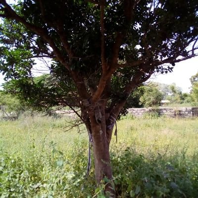 LaminJa89526353's profile picture. Jesus Christ is my savior