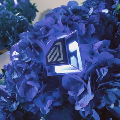 meibass0326's profile picture. 