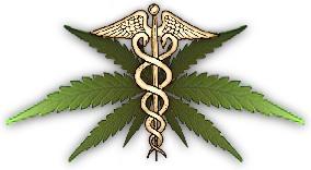 Texans4MMJ's profile picture. Legalize. Educate. Regulate. Medicate. A citizen without weed is a citizen in need.