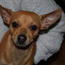 Olivia Manley - @Liv2eatsushi - Twitter