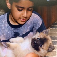 Viraj Mulik (@mulikviraj) 's Twitter Profile