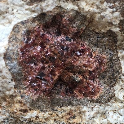 Mineralogical & Petrological Processes research group @GeowHeidelberg @UniHeidelberg led by Lucie Tajcmanova @lucie_rocks