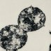Sáenz Lab (@labsaenz) Twitter profile photo Sáenz Lab (@labsaenz) Twitter profile photo