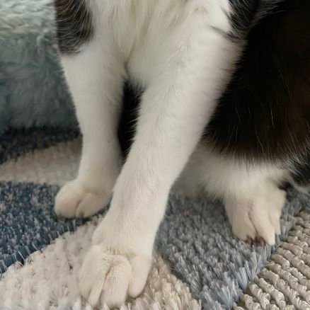 aya191010's profile picture. GLAY/スカパラ/UNISON SQUARE GARDEN/打首獄門同好会/宇都宮ブレックス/うたプリ(最推し蘭丸)/twst🏜🐍/20↑成人済み
好きな事いろいろつぶやきます