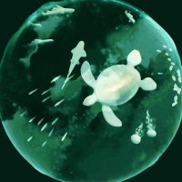 SeaGazing Podcast (@seagazingpod) 's Twitter Profile