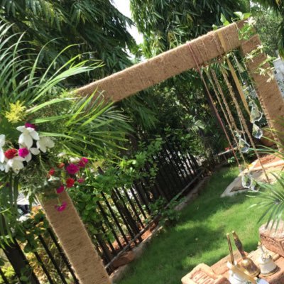 Mamatha108's profile picture. on the human side! reposts are not endorsing!