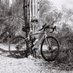Former republican 🇺🇦 🇮🇱 (@bikercrd) Twitter profile photo Former republican 🇺🇦 🇮🇱 (@bikercrd) Twitter profile photo