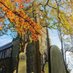 St Andrews Church Maghull (@standrewmaghull) Twitter profile photo St Andrews Church Maghull (@standrewmaghull) Twitter profile photo